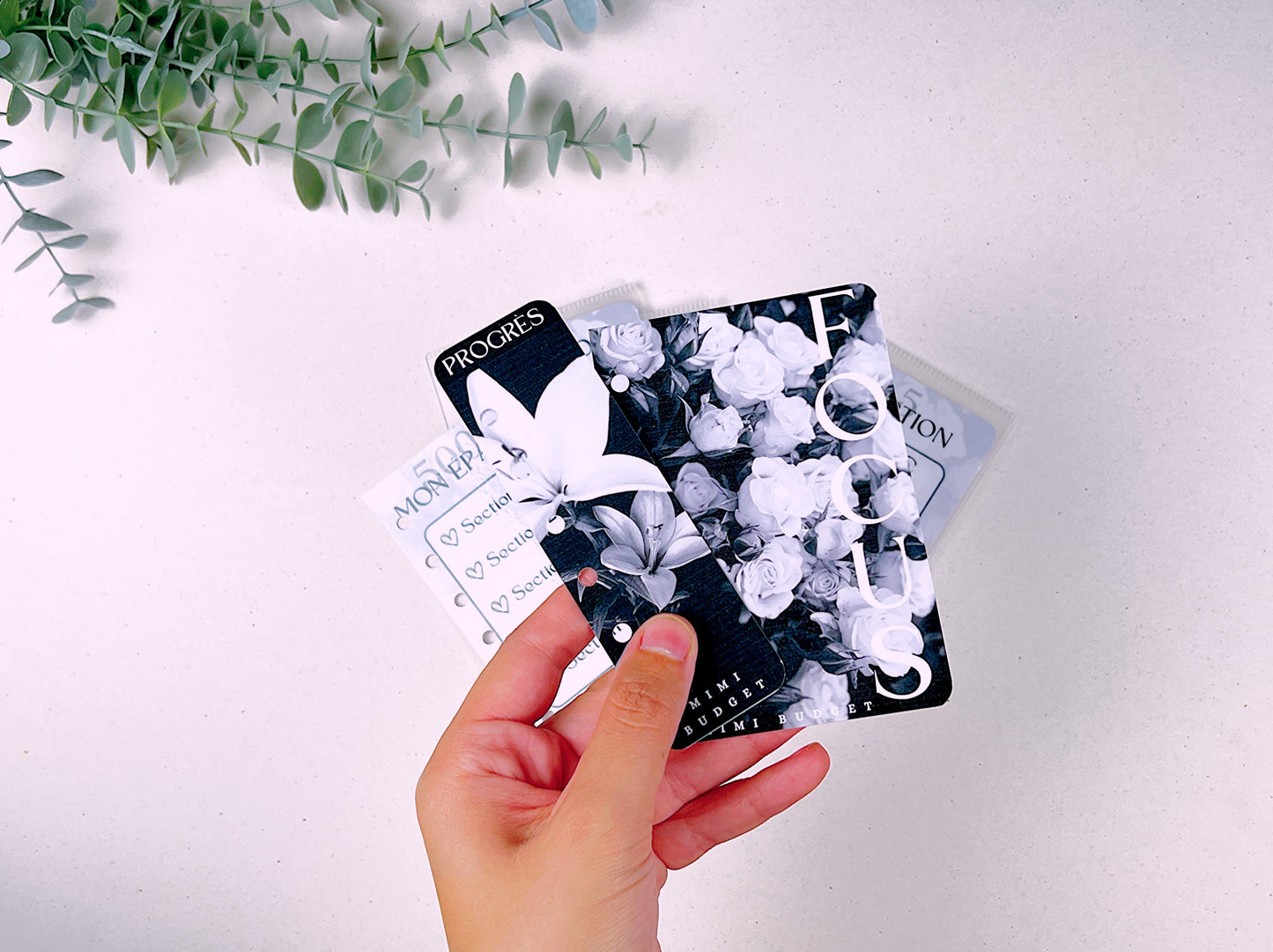 Épargne 500€ – Black & White